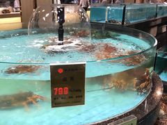 水产区-西贝海鲜汇(槐安路店)