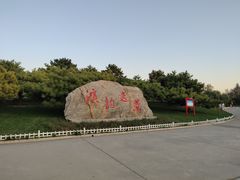 -塘沽森林公园