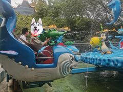 -杭州少年儿童公园
