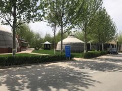 -九十九顶毡房(阜石路店)