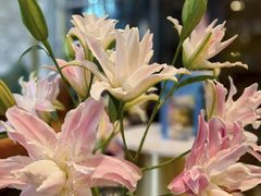 -德米火锅(深圳湾1号旗舰店)