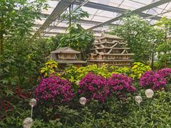 -南宫五洲植物乐园