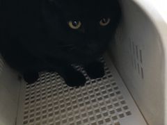 -北京赛佳动物医院