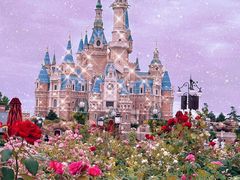 -上海迪士尼度假区