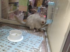 -鹏欣水游城