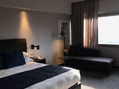 -新加坡乌节希尔顿酒店 (SG Clean)