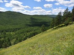 -莫尔道嘎国家森林公园