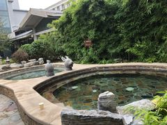 -中家鑫园温泉酒店鑫悦汤泉