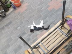 -熙成烧烤(白塔岭店)