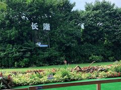 -广州长隆飞鸟乐园