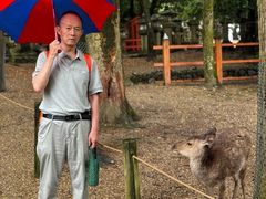 -奈良公园
