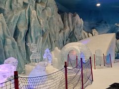 -长沙湘江冰雪世界