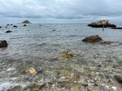 -养马岛旅游度假区