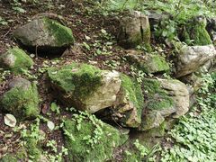 -高尔山公园