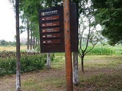 -田园东方蜜桃村的田野营地