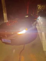 -蚂蚁婚车