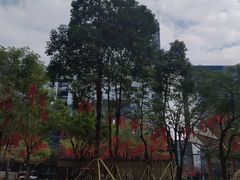 -科兴科学园