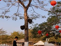 -盈香心动乐园
