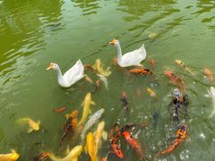 -祝家花園(伯渎港店)