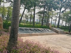 -芒洲湿地公园