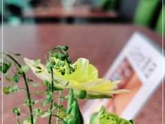 -La Terre乐田(万象城店)