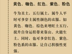 -观心实验室·心理咨询(上海旗舰店)
