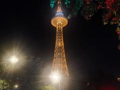 -龙塔