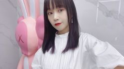 -查克拉造型