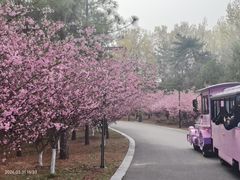 -江苏三台山国家森林公园