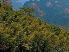 -祁门牯牛降观音堂风景区