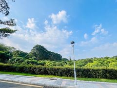 -东莞植物园