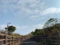 -大围山国家森林公园