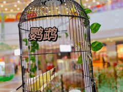 -保利MALL(天鹅湖店)
