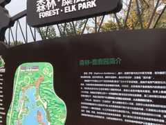 -日照海滨国家森林公园