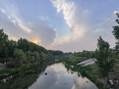 -东郊湿地公园