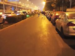 -中环花鸟鱼虫市场