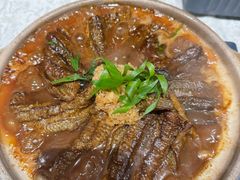 -丁老爷子苏香圆
