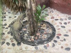 -上海大自然野生昆虫馆(东方明珠·爬宠昆虫探索中心)
