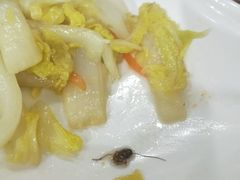 -素清香(解放路店)