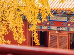 -宝通禅寺