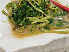 -旺角美食城(素龙店)