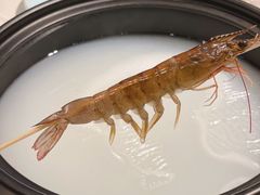 -滋粥楼·顺德菜(番禺广场总店)