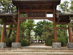 -北京鹫峰国家森林公园