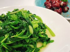 清炒鸡毛菜-圆苑(静安寺店)
