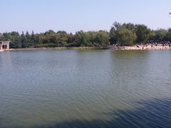 -大兴滨河森林公园