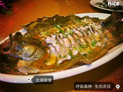 -呼吸森林·生态农庄农家乐私房菜