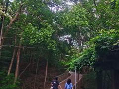 -敬亭山风景名胜区