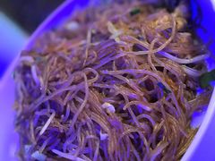 -龙巢盱眙龙虾·鸡煲·烧烤宵夜(坪洲店)