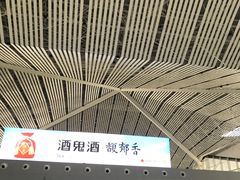 -张家界荷花国际机场航站楼-国内出发