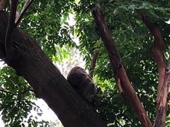 -费瑟代尔野生动物园